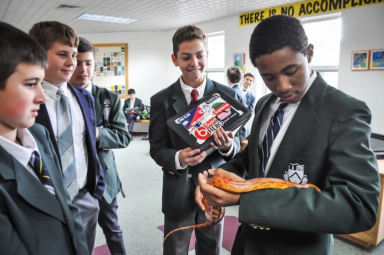 Cardigan_Living_Lab_Experiential_Learning_1