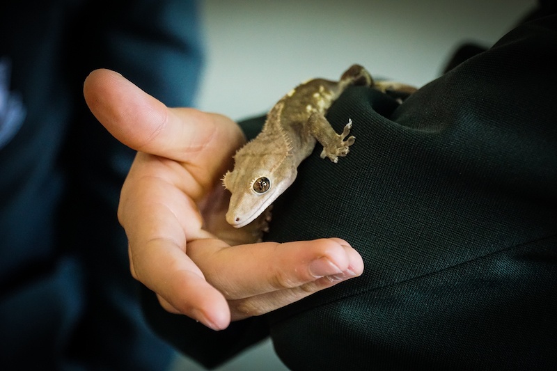 Cardigan_Living_Lab_Experiential_Learning_2